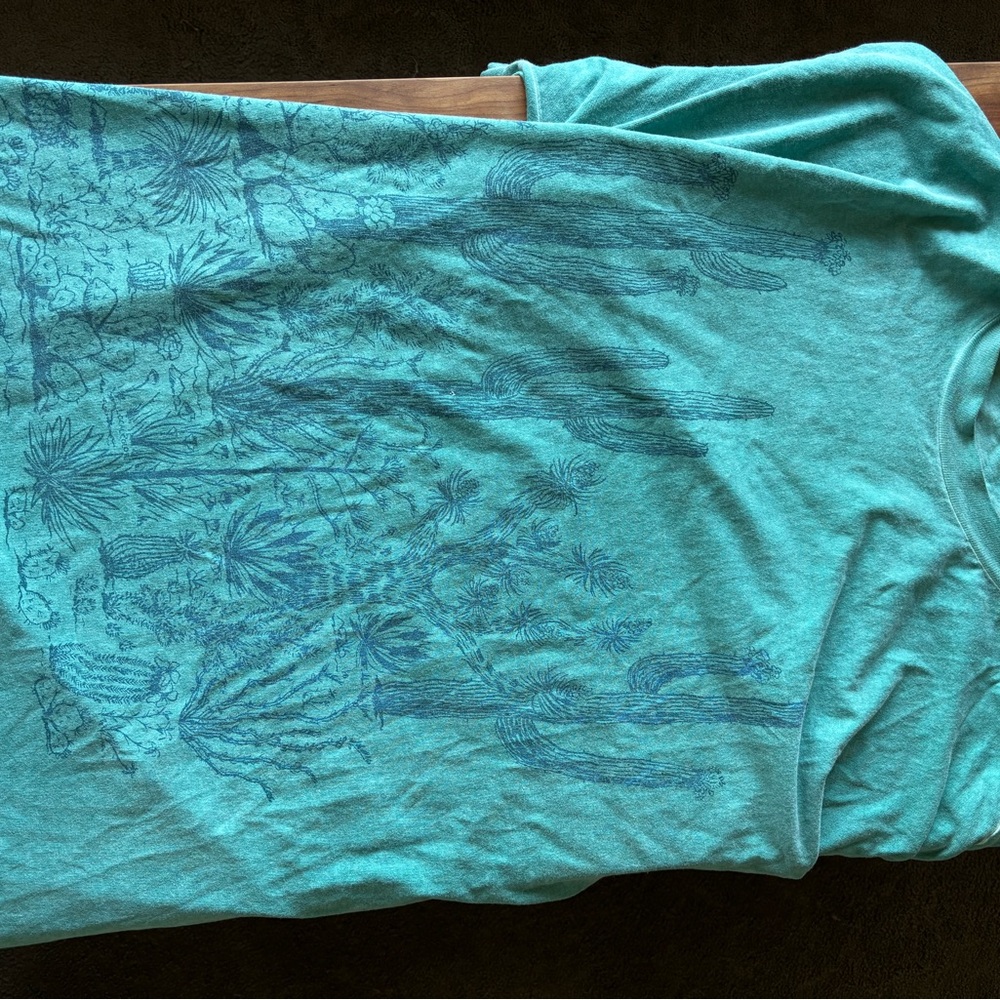 Vintage 80’s Hanes Teal desert Short Sleeve Tee